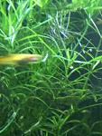     
: IMG_20190325_090745.jpg
: 7
:	84.8 
ID:	13073559