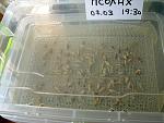     
: !IMG_8576  1.jpg
: 41
:	222.6 
ID:	13074066