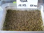     
: !IMG_8667  4.jpg
: 38
:	281.3 
ID:	13074539
