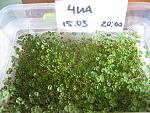     
: !IMG_8694  6.jpg
: 33
:	249.7 
ID:	13074541