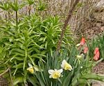     
: P1640357.jpg
: 23
:	232.4 
ID:	13075122