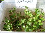     
: !IMG_8695  4.jpg
: 35
:	215.6 
ID:	13075587