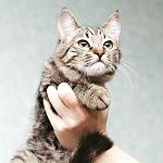     
: IMG_20190321_232457_235.jpg
: 114
:	77.6 
ID:	13075716