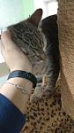     
: IMG-d484739e76bb6dd4e5448fe37cf37e10-V.jpg
: 14
:	58.4 
ID:	13075924
