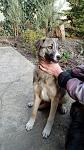     
: IMG-7373b2bff2a70c891d8fab8f53478532-V.jpg
: 37
:	109.7 
ID:	13076082