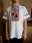     
: IMG_20190328_151303.jpg
: 41
:	78.1 
ID:	13076702