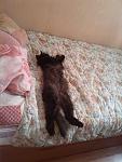     
: IMG_20140906_161847.jpg
: 13
:	93.5 
ID:	13084994
