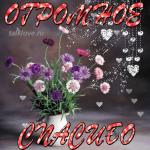     
: 79a0e2953852c3f7eed38b4a3596df78.jpg
: 19
:	39.1 
ID:	13086479
