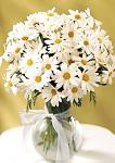     
: IMG-f79b864a3e1d65765dfafff2bc7532a8-V.jpg
: 19
:	38.3 
ID:	13086828