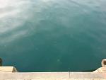     
: 0_DSC_2174.jpg
: 26
:	56.9 
ID:	13087676