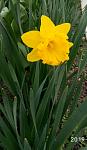     
: P90407-114511(1).jpg
: 18
:	71.8 
ID:	13089771