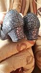     
: 20180904_073531_resized.jpg
: 16
:	85.6 
ID:	13090521