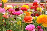     
: 1-1-700x467.jpg
: 30
:	63.2 
ID:	13090841