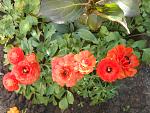     
: DSCN4884.jpg
: 29
:	145.6 
ID:	13090931