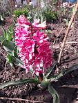     
: 20190407_154147.jpg
: 18
:	126.3 
ID:	13091838