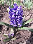     
: 20190407_154210.jpg
: 18
:	159.4 
ID:	13091839