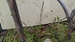     
: 20190412_121811.jpg
: 32
:	169.1 
ID:	13093136