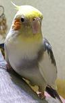     
: viber image 2019-04-13 , 16.22.21.jpg
: 15
:	59.4 
ID:	13094670
