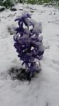     
: __ 20170420_191840.jpg
: 32
:	55.7 
ID:	13096556