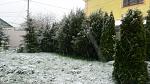     
: __ 20170420_191339.jpg
: 30
:	133.3 
ID:	13096557