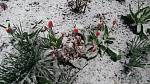     
: __ 20170420_191556.jpg
: 29
:	146.2 
ID:	13096564