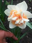     
: IMG_20190414_145615.jpg
: 18
:	59.2 
ID:	13097705