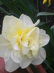     
: IMG_20190414_145645.jpg
: 13
:	54.3 
ID:	13097706