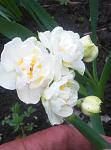     
: IMG_20190414_145703.jpg
: 12
:	61.8 
ID:	13097707