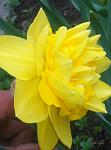     
: IMG_20190414_145715.jpg
: 12
:	59.2 
ID:	13097708