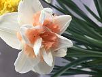     
: E386C85F-0CCD-4670-B710-622AEE5A8FF0.jpg
: 12
:	58.0 
ID:	13097971