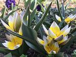     
: 1D19F111-A262-4192-B9DA-3DAC953B6F29.jpg
: 12
:	101.4 
ID:	13097973
