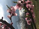     
: C0C898EB-E3A0-42A6-B3A3-C66CCB353701.jpg
: 12
:	91.5 
ID:	13097975