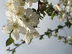     
: 96F9742C-A357-42D1-B4FA-2F35CE0A3DA9.jpg
: 15
:	77.3 
ID:	13097976