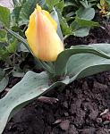     
: 20190418_080843.jpg
: 16
:	103.1 
ID:	13098588