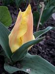     
: 20190417_185836.jpg
: 21
:	57.8 
ID:	13098591