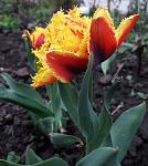     
: 20190418_075823.jpg
: 17
:	88.0 
ID:	13098594