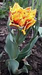     
: 20190418_080113.jpg
: 18
:	79.8 
ID:	13098595