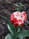     
: 20190417_190406.jpg
: 18
:	76.0 
ID:	13098605