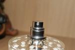     
: DSC08168.jpg
: 19
:	58.8 
ID:	13099280