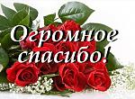     
: orig.jpg
: 27
:	97.0 
ID:	13100348