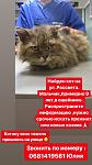     
: D169968B-E883-4CF7-9F0D-3579778EBDFC.jpg
: 12
:	50.6 
ID:	13100589