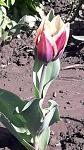     
: 20190421_203529.jpg
: 124
:	103.7 
ID:	13101070