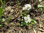     
: 20190420_121233.jpg
: 22
:	310.8 
ID:	13102151