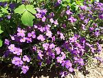     
: 20190420_121151.jpg
: 19
:	290.2 
ID:	13102152