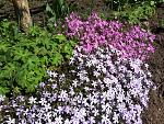     
: 20190420_121106.jpg
: 19
:	313.7 
ID:	13102153