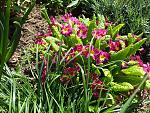     
: 20190420_121048.jpg
: 17
:	303.7 
ID:	13102154
