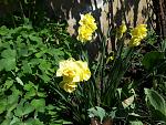     
: 20190420_121031.jpg
: 22
:	188.1 
ID:	13102155