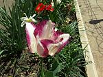     
: 20190420_121017.jpg
: 22
:	181.3 
ID:	13102156