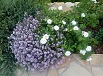     
: P80821-113731.jpg
: 45
:	269.3 
ID:	13103547