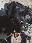     
: IMG_20190423_181805.jpg
: 14
:	121.9 
ID:	13106365